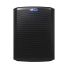 Caisson De Basse ALTO TS18S - Macca Music