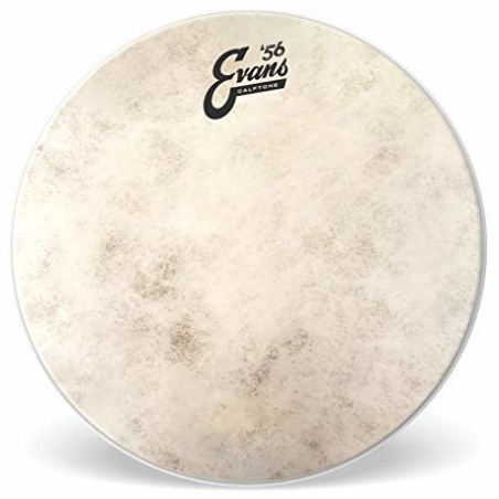 EVANS PEAU 12" C7
