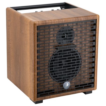 Ampli Acoustique PRODIPE Natural Walnut - Macca Music