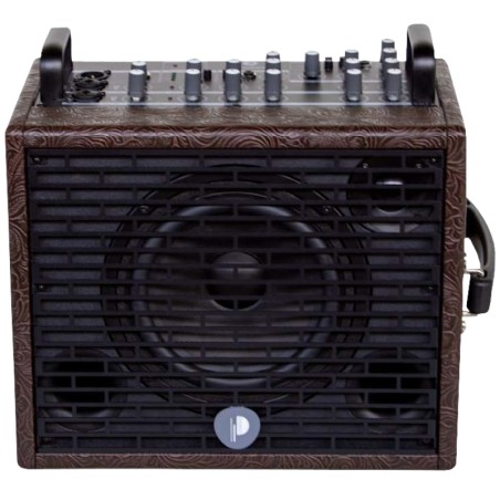 Ampli Guitare Acoustique Traveler﻿ 6 Prodipe - Macca Music