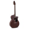 Guitare Electro-Acoustique APPLAUSE AEO96-M - Macca Music