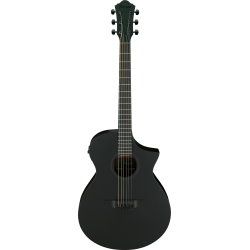 IBANEZ AEWC621-BOT