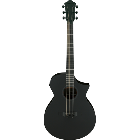Guitare Electro-Acoustique IBANEZ AEWC621-BOT - Macca Music
