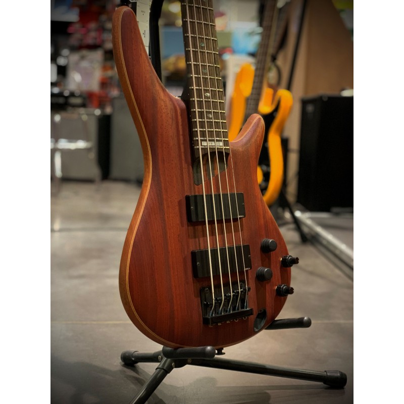 Basse Electrique Active 5 Cordes IBANEZ SDGR5 - Macca Music