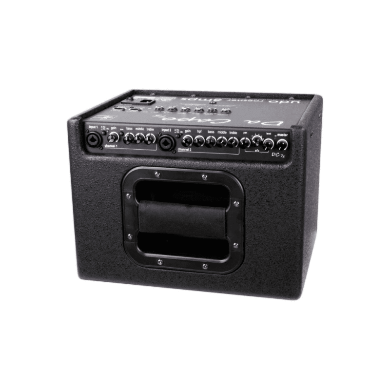 Ampli acoustique UDO ROESNER DA CAPO 75