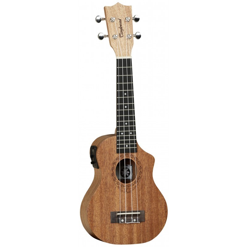 TANGLEWOOD TWT 1 CE