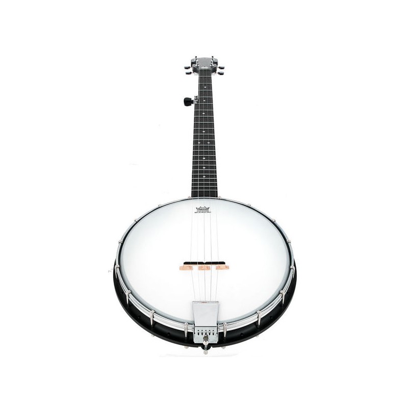 GOLD TONE AC-1 5 STRING