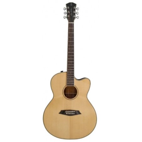 LARRY CARLTON A3 GS NAT