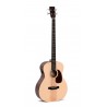 Basse électro-acoustique SIGMA SERIES BASSES BME