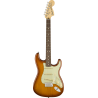 Guitare électrique FENDER Stratocaster American Performer RW HB - Macca Music