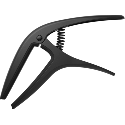 ERNIE BALL AXIS GOLD BLACK