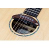 Micro rosace SP-1 Pickup