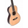 Guitare acoustique SIGMA SERIE CUSTOM S00R-45VS :