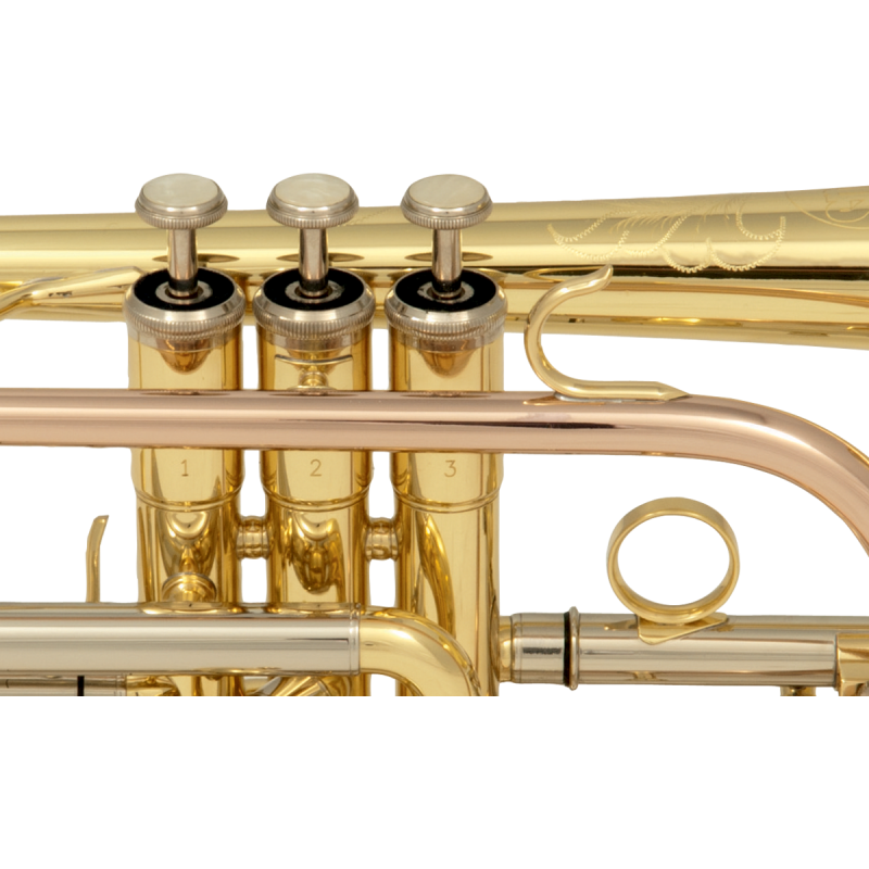 Cornet SML CO-50