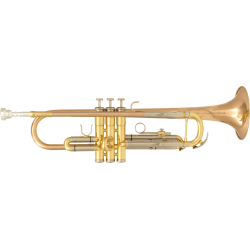 Trompette SML TP-600 - Macca Music