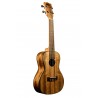 Ukulélé type Concert KALA Pacific Walnut - Macca Music