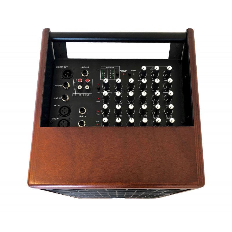 Ampli Acoustique PRODIPE Natural 6 Cherrywood - Macca Music