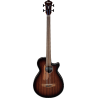Basse Acoustique IBANEZ AEGB24FE-MHS Fretless - Macca Music