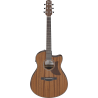 Guitare Electro-Acoustique IBANEZ AAM54CE-OPN - Macca Music