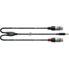 Câble XLR Femelle/Minijack Mâle CORDIAL CFY3WFF - Macca Music