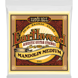 Cordes Pour Mandoline ERNIE BALL Earthwood Medium 2065 - Macca Music