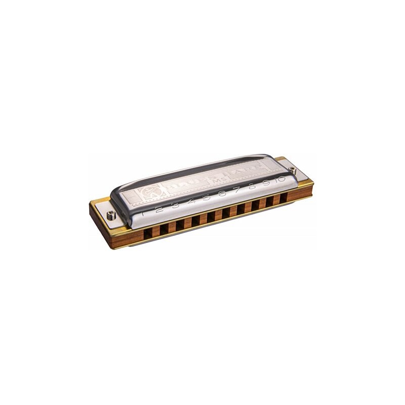Hohner Blues Harp D - Macca Music